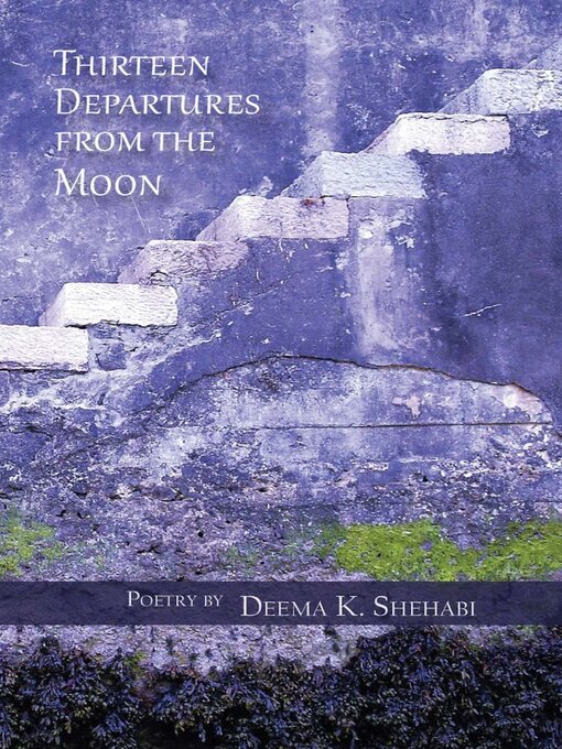 Cover image for Thirteen departures from the moon